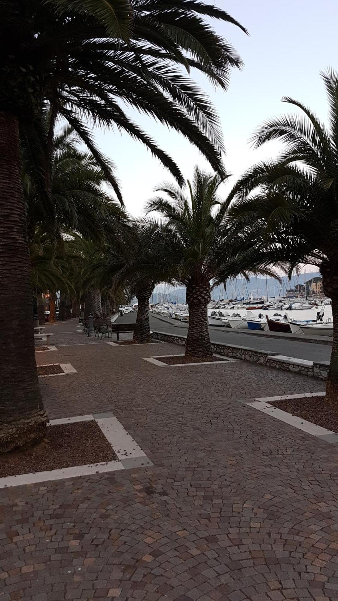 La Stanzetta Dei Rosa Apartman Porto Venere Kültér fotó